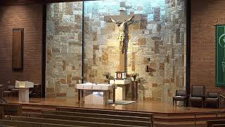 Daily Mass - Wednesday Daily Mass