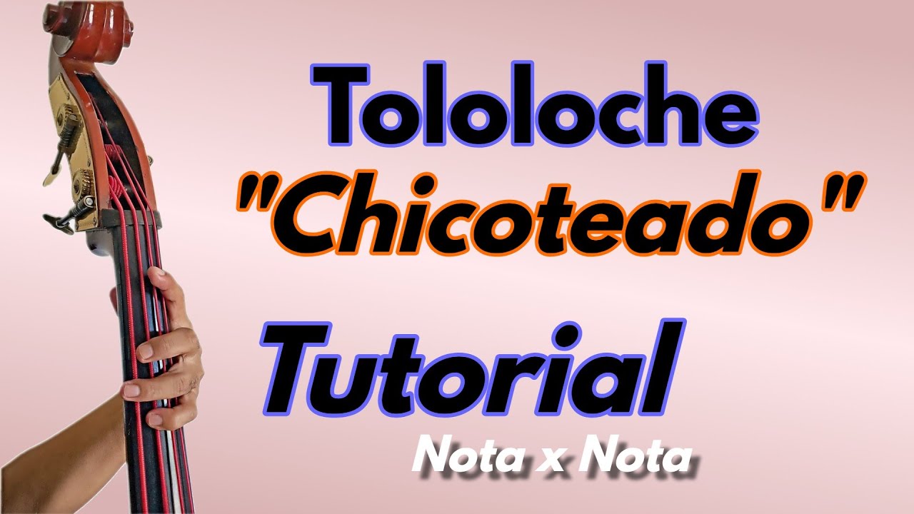 TOLOLOCHE CHICOTEADO tutorial Nota x Nota