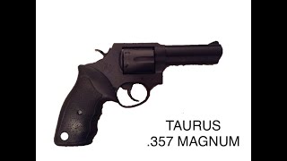 Taurus Model 65 Overview and Range Time POV