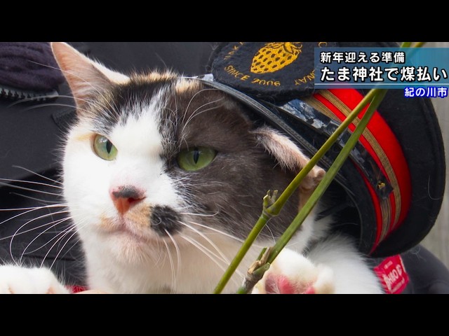 Cat stationmaster clears soot at Tama Shrine to welcome the New