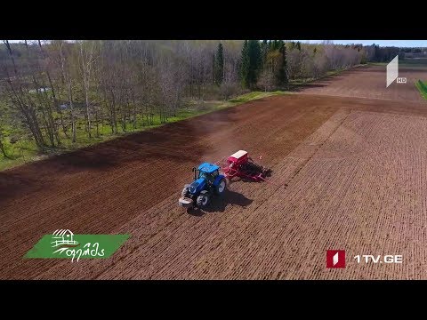 „ფერმა” ესტონეთში –  საბჭოთა წარსულის ქვეყნის ევროპული დღევანდელობა