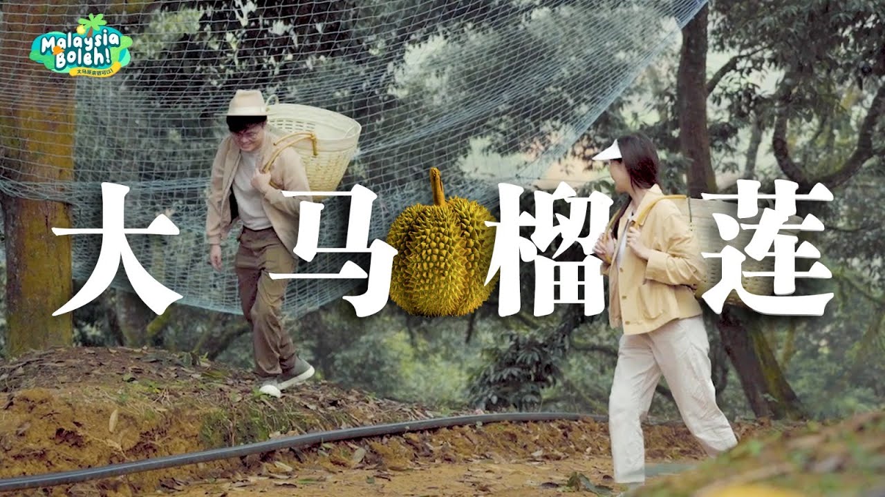 猫山王出口只是开始，榴莲产业即将迎来大爆发！？【Malaysia Boleh EP1】