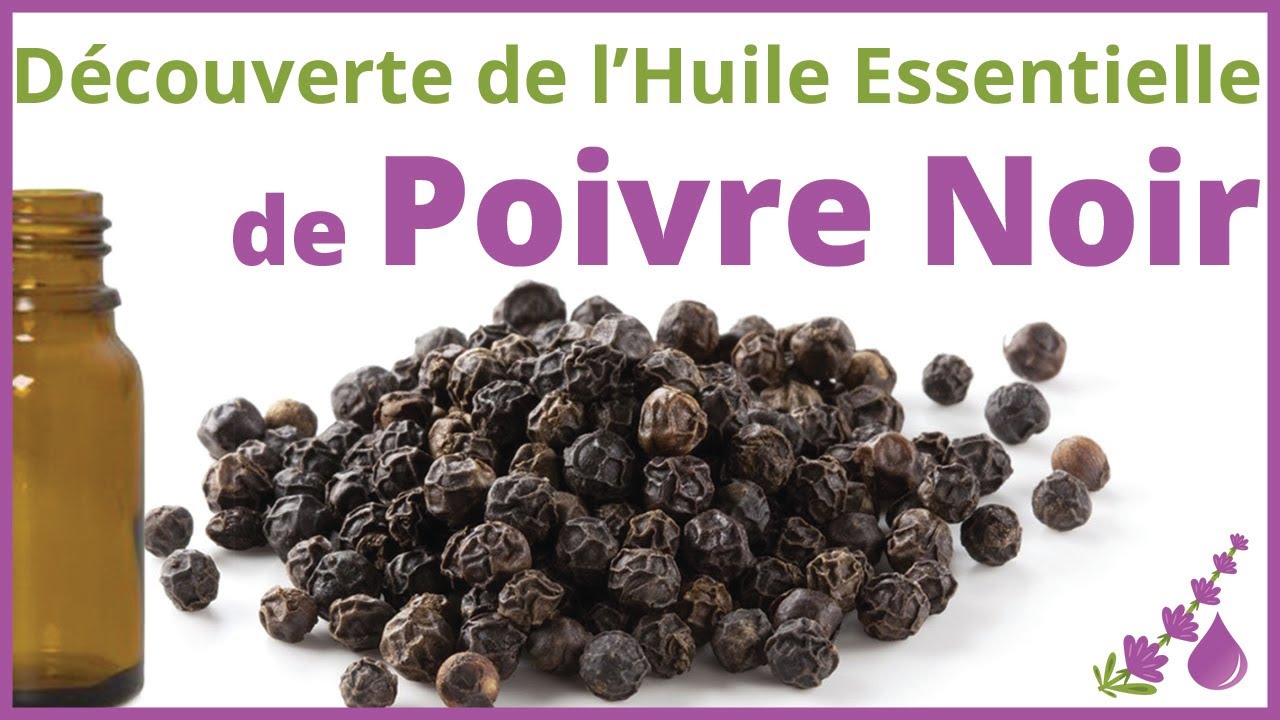 Huile Essentielle De Poivre Noir Tradition Nature NEUVE - Aromathérapie Bien-être