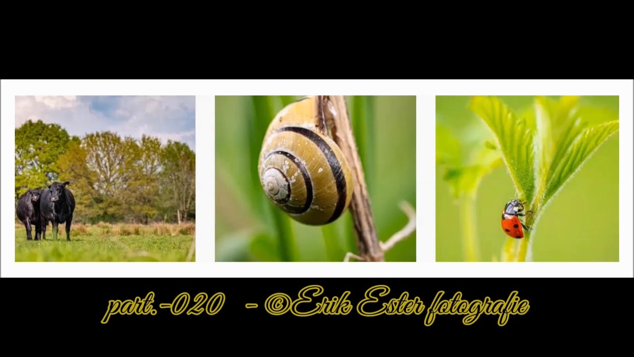 part.020 ©Erik Ester fotografie YouTube