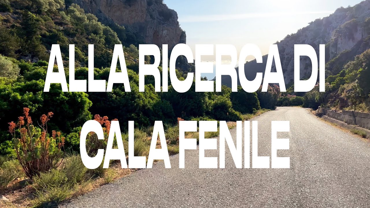 ALLA RICERCA DI CALA FENILE ☀️⛱