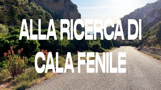 Alla Ricerca Di Cala Fenile