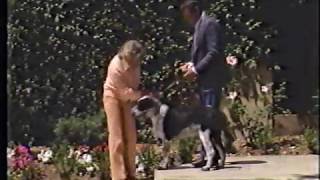 Doris Day: Doris Day&#39;s Best Friends with Earl Holliman and Steve Feather - 1985