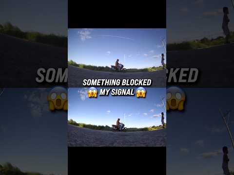 What just happened