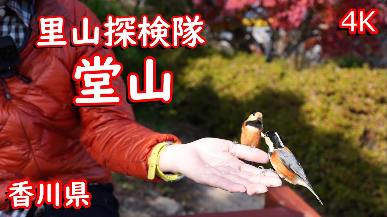 【里山探検隊】堂山（香川県）4K