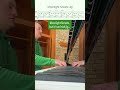 Moonlight Sonata, but it’s an Irish jig for piano. Is Beethoven rolling in his grave? #stpatricks