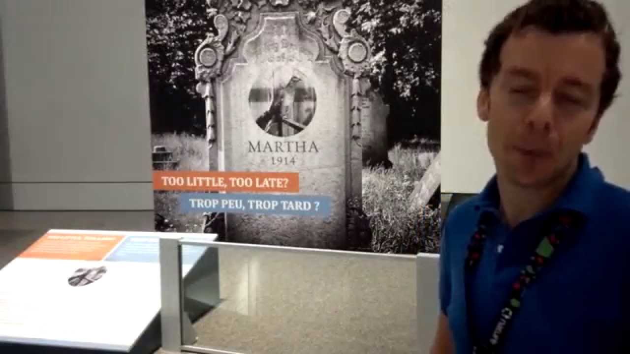 100e anniversaire de l’extinction de la tourte voyageuse aujourd’hui