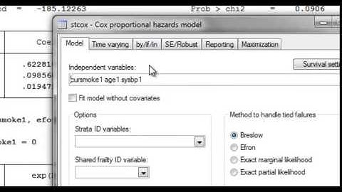 Stratified Cox model