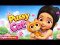 Cat Cat Where Have You Been? | English Nursery Rhymes | TMKOC Kids Songs