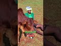 የዝና #ethiopianmusic #amharicmusic #ethiopia #habesha #habeshamusic #ebs #dance #አማርኛ