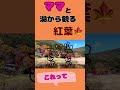 【ヒロミ&伊代】湖から観る紅葉🍁分かっていただけます？ #ヒロミ　#松本伊代　#shorts