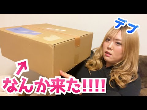 【デブアイドル】メンバーから何か届いたんだけど...