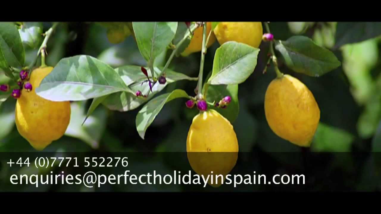 01 Real Estate Properties  marbella Images subjetiva www intube es   YouTube