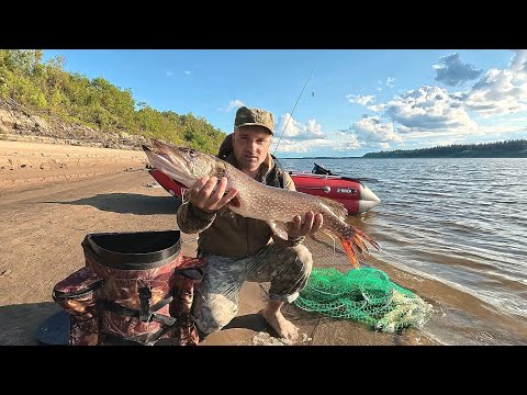 EPIC FISHING ON THE BIG RIVER. UNEXPECTED CATCHES ON A FEEDER. PIKE FISHING WITH A SPINNING ROD. ...