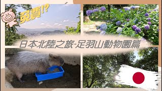 Download Lagu 日本親子旅遊/北陸之旅/福井縣足羽山動物園篇(免費!!!)🐾🐾🐾 MP3