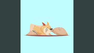 Fun Backdrops for Relaxing Your Pooches