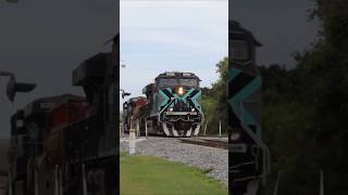 FEC 202 hauls past me!