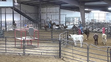 QR High Brow Red and Tamulenas Player - sorting 1 - Valley View Ranch