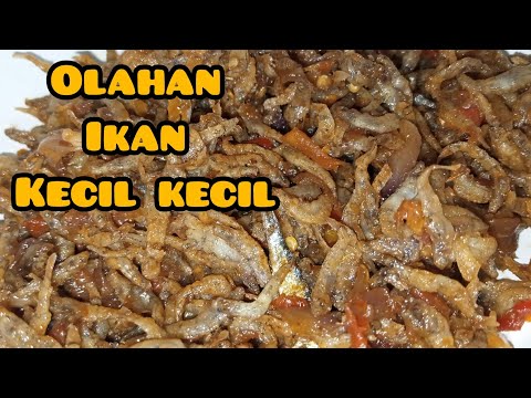 Resep Masakan Ikan Kecil Kecil
