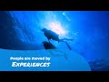 Powering Unforgettable Experience | Travel Technology Solutions