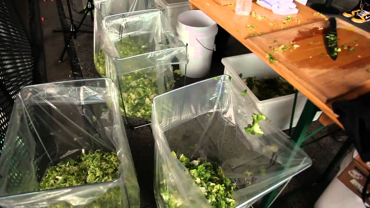 Alison Knowles Make a Salad performance on the High Line