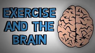 How Exercise Benefits Your Brain - Exercise And The Brain (Animated)