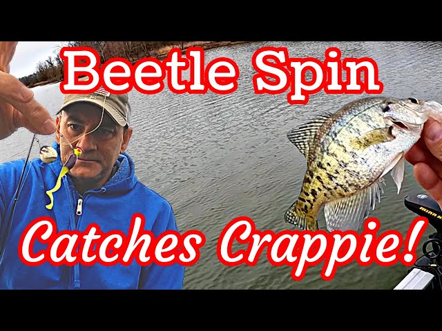 OLD SCHOOL Beetle Spin STILL CATCHING Crappie 
