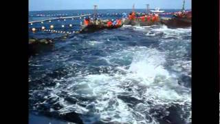 ALMADRABA DE BARBATE