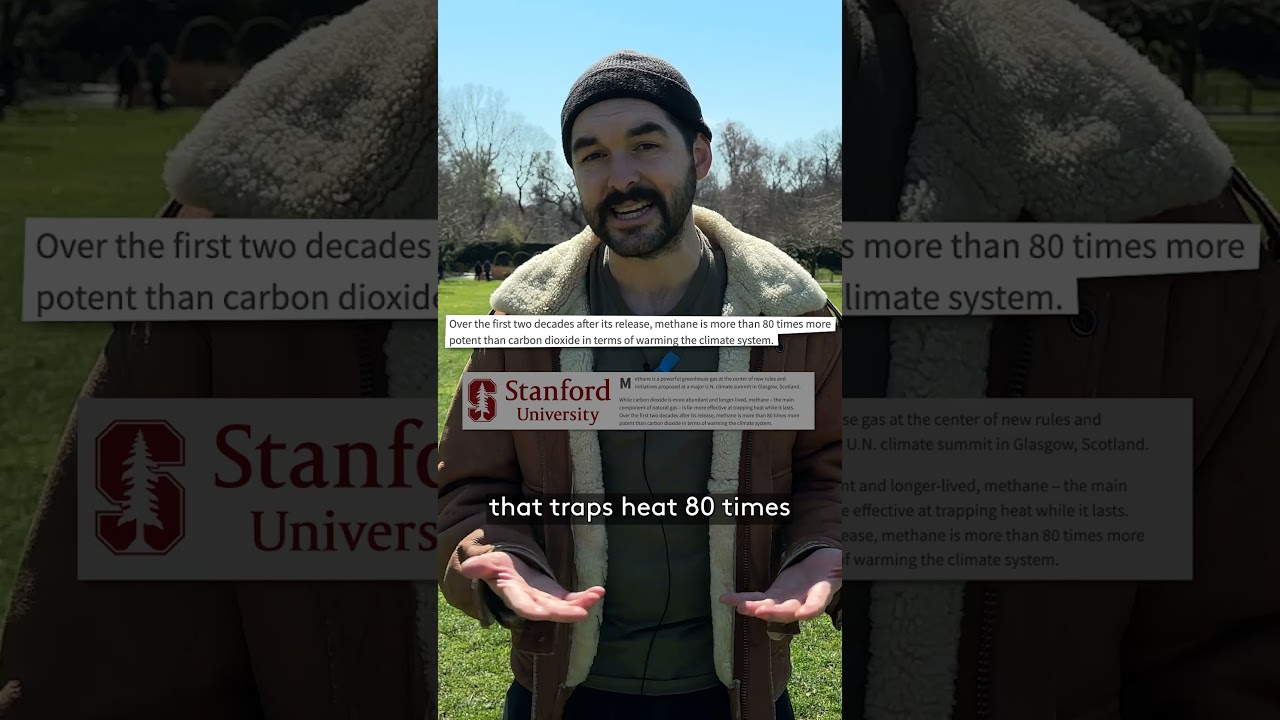 Expiration Dates Are Fake