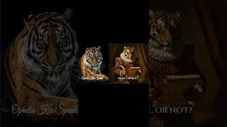 Follow the Deranged Tiger Muse #substack #shorts
