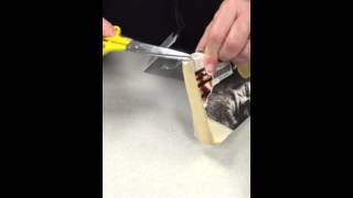 Book Repair 2: Taping the spine