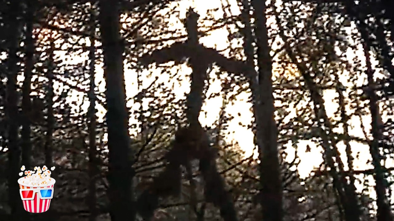 The Stick Figures | The Blair Witch Project