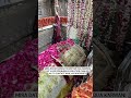 Hazrat Saiyed Ali mira datar dargah Sharif most popular video