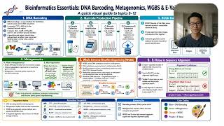 DNA Barcoding Explained: Concept and Purpose