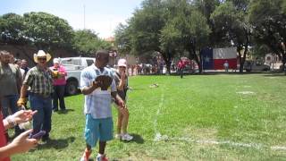 Cow pie throwing contest