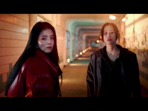 ハン・ソヒ×チョン・ジョンソ、アドレナリン全開!ガールズクライムサスペンス/映画『PROJECT Y』ティザー予告