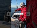 Catching Atlantic Bonito for the First Time! #shorts