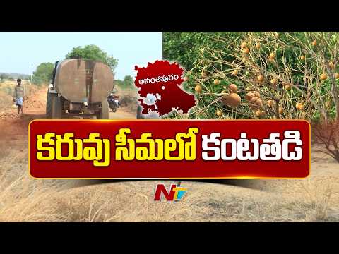 Anantapur District : ఎండిపోతున్న పండ్ల తోటలు.. కన్నీళ్లు పెట్టుకుంటున్న రైతన్నలు! | NTV Telugu - NTVTELUGU