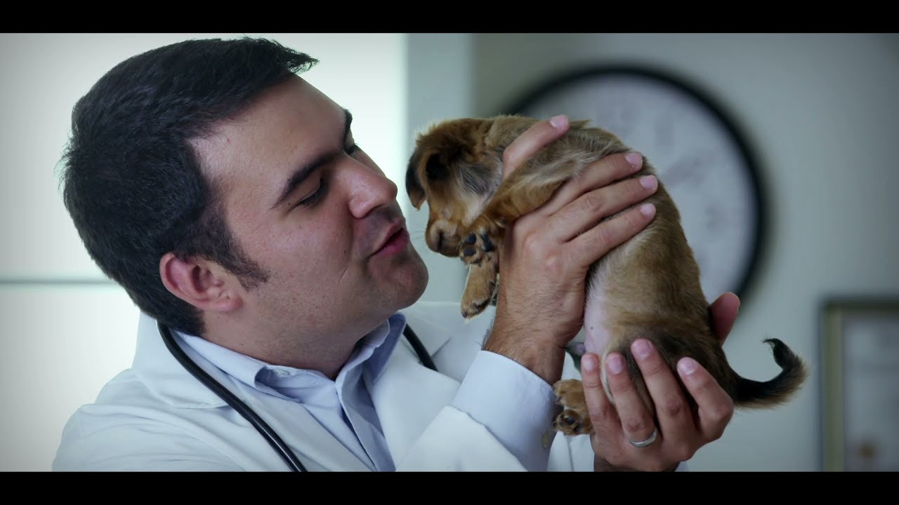 Veteriner Hekimler Günü | Lider Pet Food