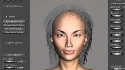 Poser Tutorial - Hair Dynamics