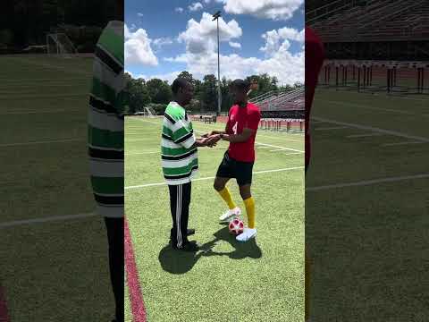 Highlight 4