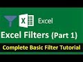Excel Filter - Part 1 (Basic Excel Filters) Complete Tutorial