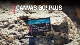 Thẻ nhớ microSD Kingston Canvas Go! Plus SDCG4