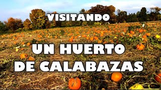 VISITANDO UN HUERTO DE CALABAZAS EN NEW JERSEY-VISITING A PUMPKIN PATCH