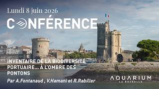 Conférence : Inventaire de la biodiversité portuaire...à l'ombre des pontons