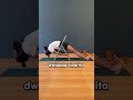 3 Restorative Yoga Poses to Reopen the Chest After Deep Twists | Iyengar Yoga